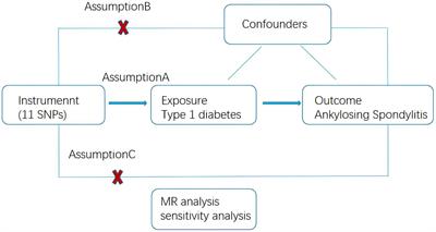 Association between type 1 diabetes mellitus and ankylosing spondylitis: a two-sample Mendelian randomization study